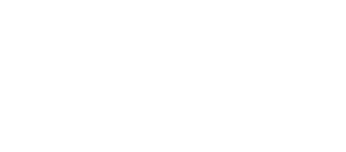 iNZight Analytics Ltd